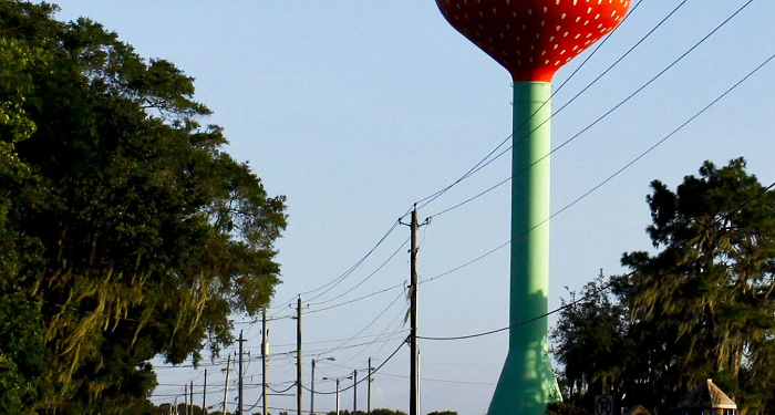 Plant City and its Popular Holidays and Festivals