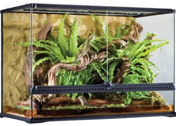 Понятие биотопического террариума и его значение для физического благополучия животных