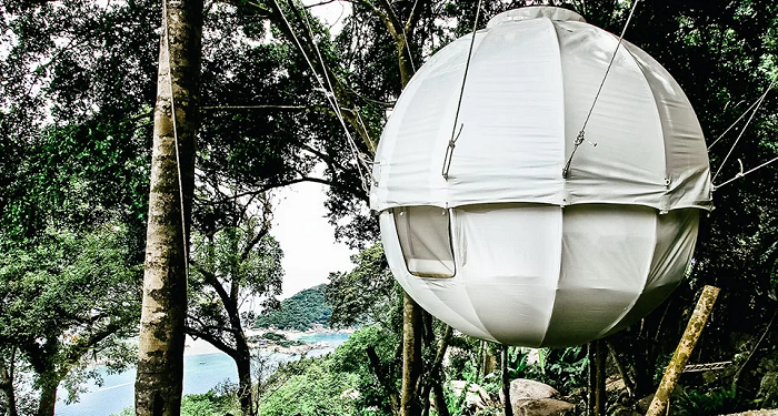 How to make a house on a cocoon tree and the main advantages