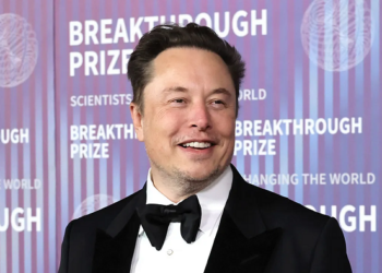 What does the Elon Musk AI Trading Quantum AI trading platform offer?