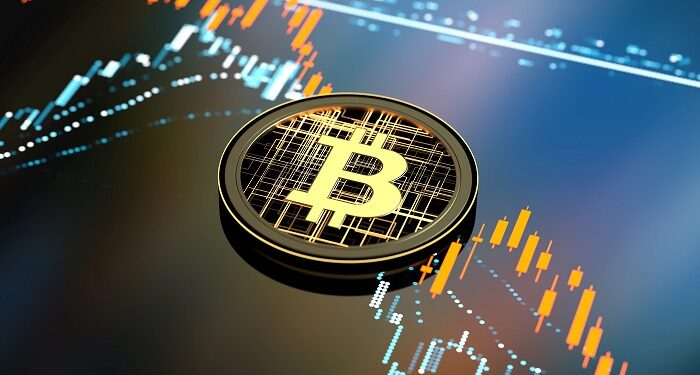 MyCoinWiki로 암호화폐 가격을 실시간으로 추적하세요