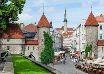 Company registration in Estonia: rules and requirements